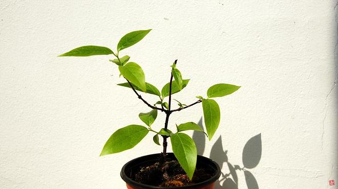 휴지통 파일 삭제 불가상태입니다.