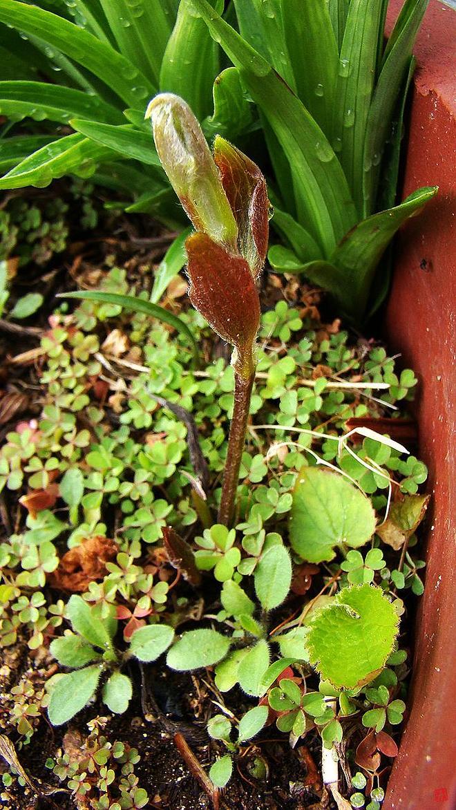 휴지통 파일 삭제 불가상태입니다.