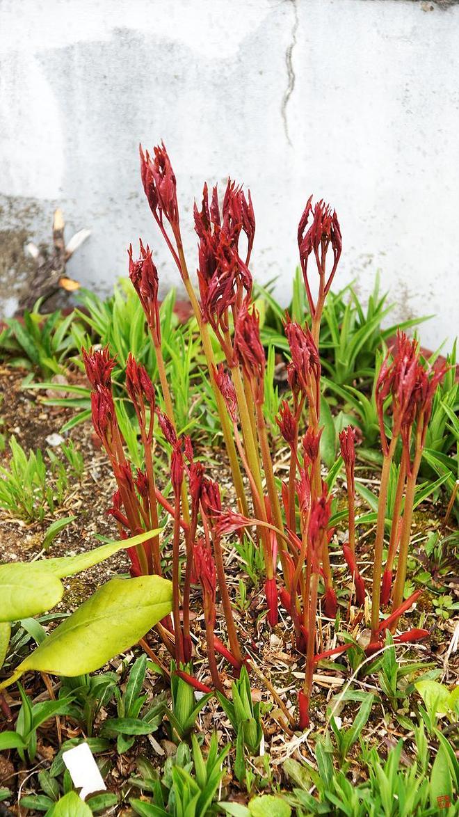 휴지통 파일 삭제 불가상태입니다.