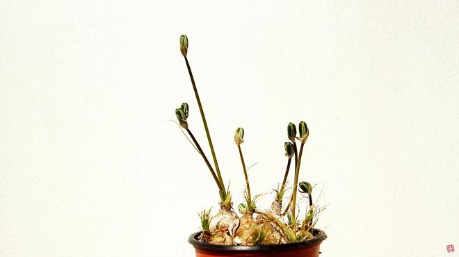 휴지통 파일 삭제 불가상태입니다.