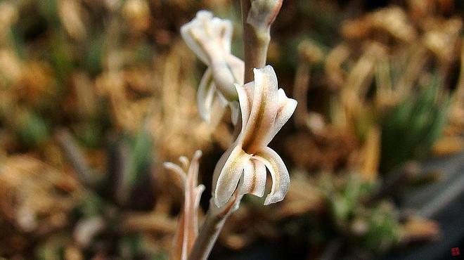 휴지통 파일 삭제 불가상태입니다.