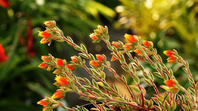 도리스테일러 01.jpg