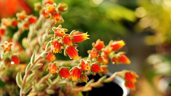 도리스테일러 02.jpg