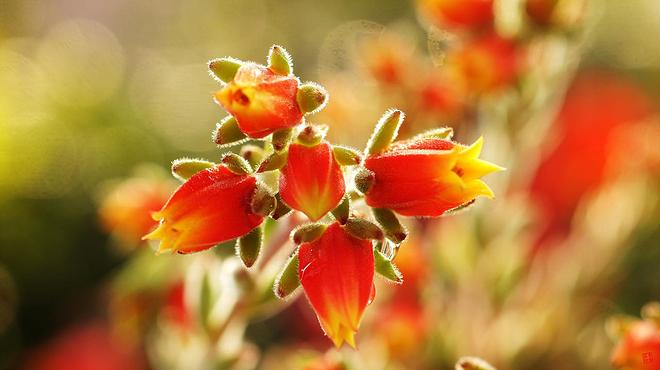 도리스테일러 04.jpg