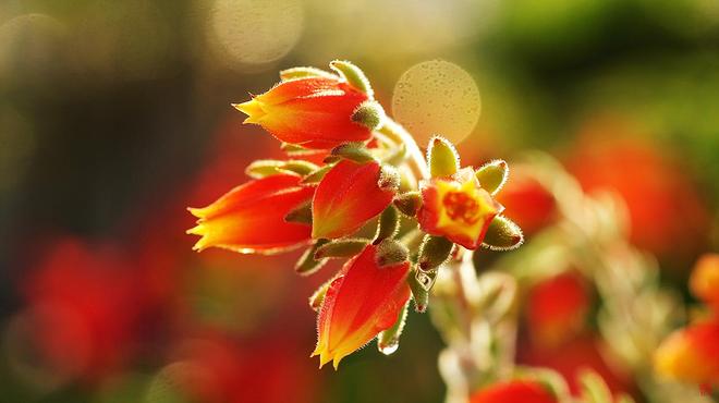 도리스테일러 05.jpg