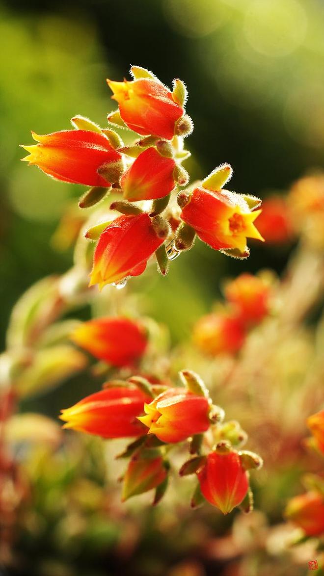 도리스테일러 06.jpg