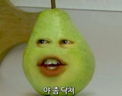 닥쳐에 대한 이미지 검색결과