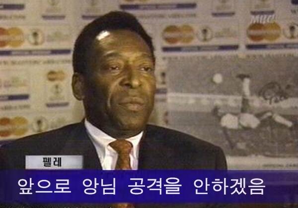 펠레---앙님 공격 00f0035815_482aff37e5d71.jpg