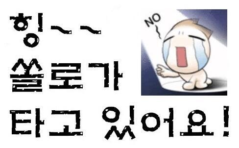 쏠로가 타고있어요.jpg