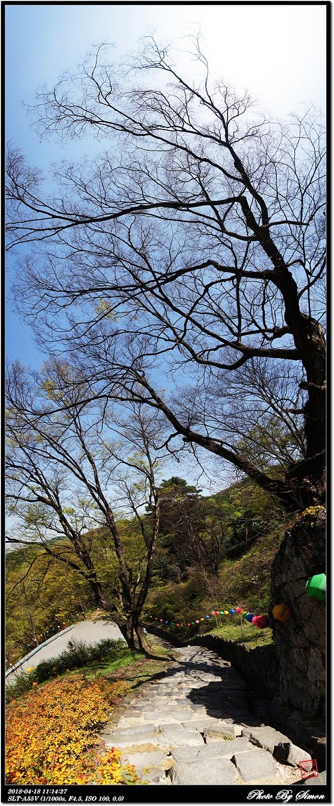 180418-14 성불사.jpg