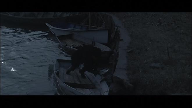 ASSASSIN - H__VIDEO_TS_20180606_031102.650.jpg