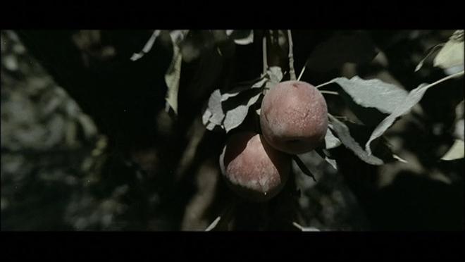 ASSASSIN - H__VIDEO_TS_20180606_031132.913.jpg