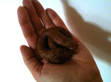fake_dog_poo.jpg