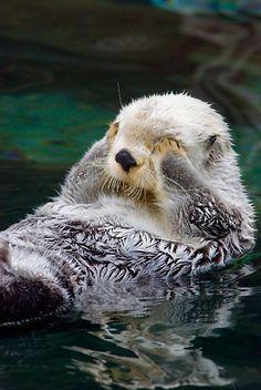 &ecirc;&acute;&euml;&nbsp;&uml; &igrave;&acute;&euml;&macr;&cedil;&igrave;&sect;