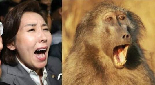 나경원숭이.png