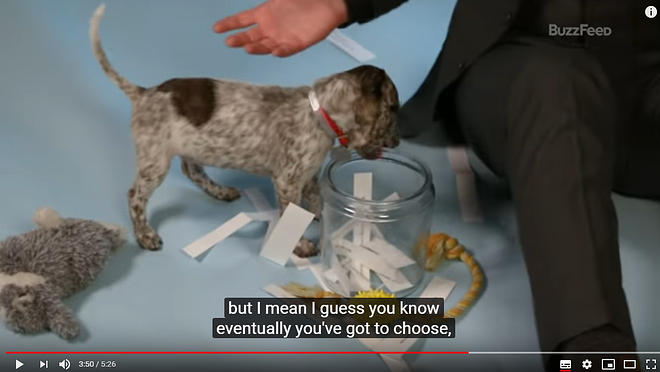 Cap 2019-05-31 17-25-36-661.jpg