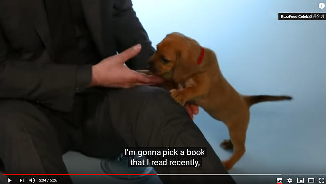 Cap 2019-05-31 17-20-40-498.jpg