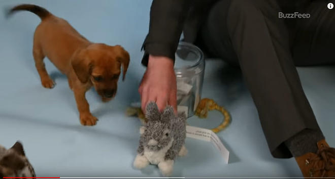 Cap 2019-05-31 17-14-02-996.jpg