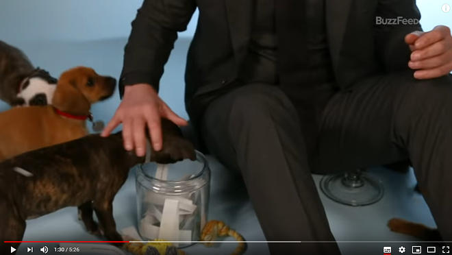 Cap 2019-05-31 17-16-54-686.jpg