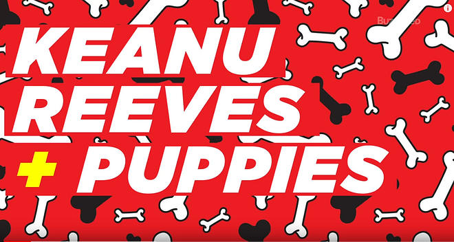 Cap 2019-05-31 17-10-35-060.jpg