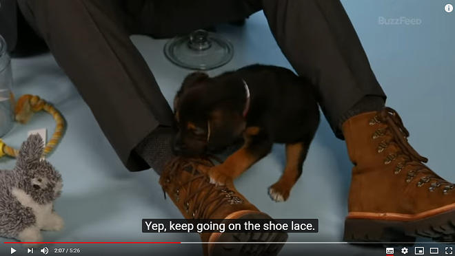 Cap 2019-05-31 17-19-27-825.jpg