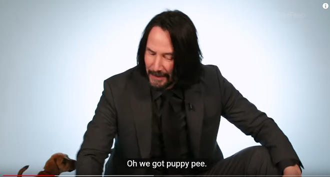 Cap 2019-05-31 17-13-17-404.jpg