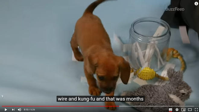 Cap 2019-05-31 17-23-10-612.jpg