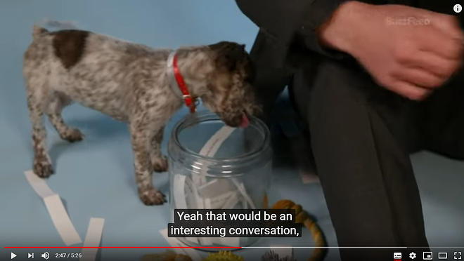 Cap 2019-05-31 17-21-39-726.jpg