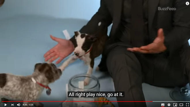 Cap 2019-05-31 17-28-34-384.jpg