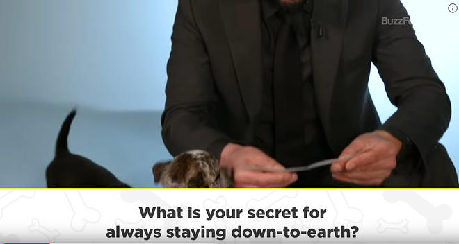 Cap 2019-05-31 17-12-09-145.jpg