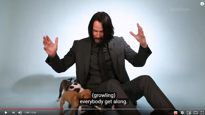 Cap 2019-05-31 17-17-54-635.jpg