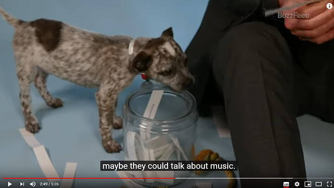 Cap 2019-05-31 17-21-45-127.jpg