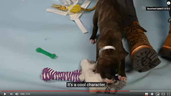 Cap 2019-05-31 17-26-37-100.jpg