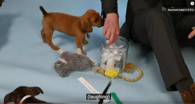 Cap 2019-05-31 17-12-40-622.jpg