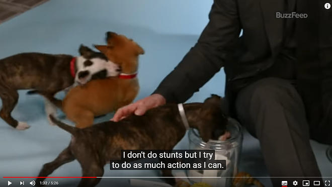 Cap 2019-05-31 17-17-01-979.jpg