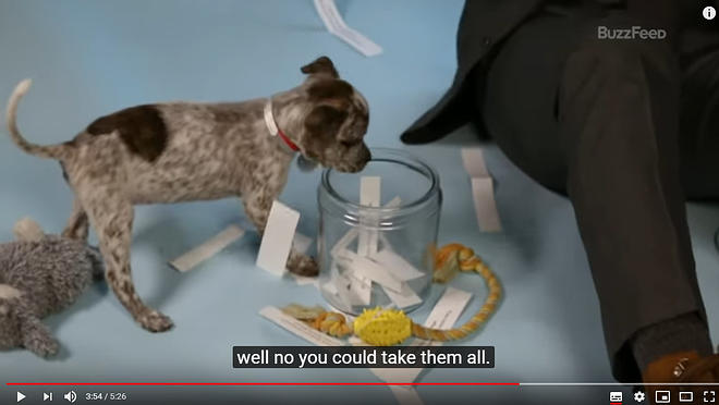 Cap 2019-05-31 17-25-48-213.jpg