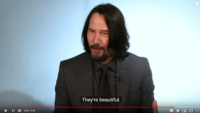 Cap 2019-05-31 17-29-59-851.jpg