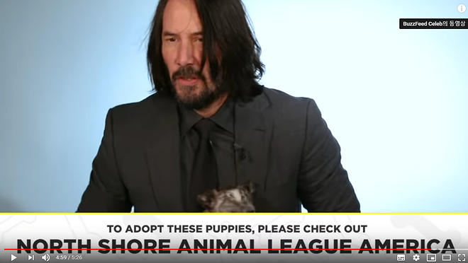 Cap 2019-05-31 17-30-59-515.jpg