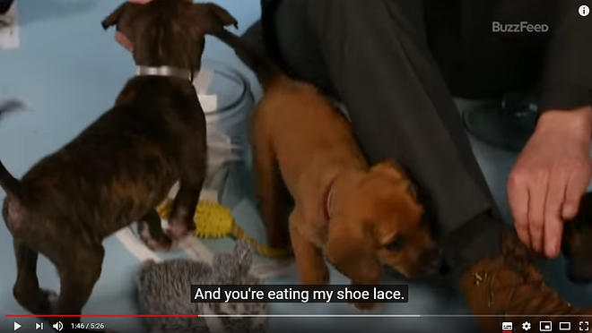 Cap 2019-05-31 17-18-10-367.jpg