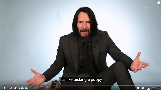 Cap 2019-05-31 17-25-30-366.jpg