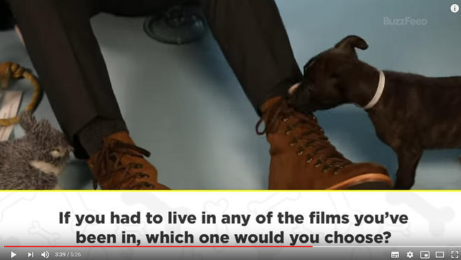 Cap 2019-05-31 17-24-57-366.jpg