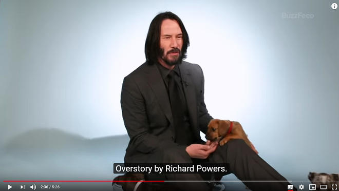 Cap 2019-05-31 17-20-47-697.jpg