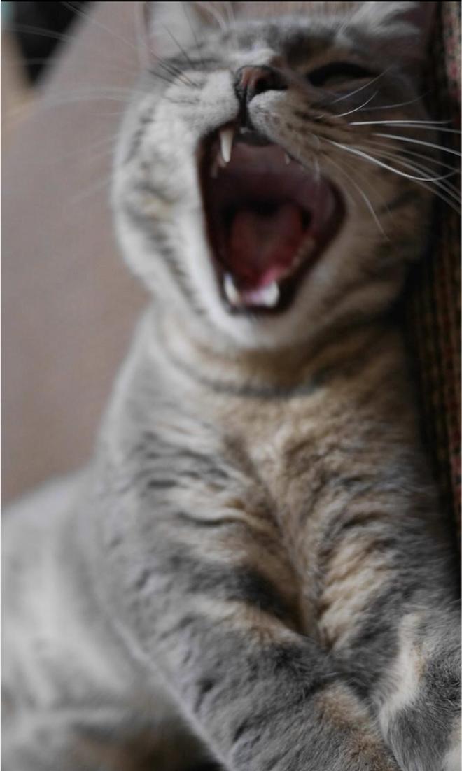 스크린샷 2019-08-14 오후 12.29.05.png