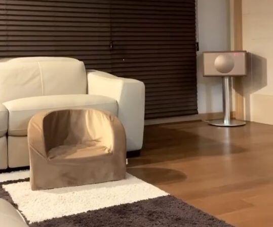 설치전 영상테스트...