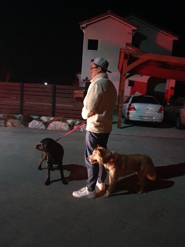 시골에는 밤에 개 줄 풀어 주는 집들이 좀 있습니다