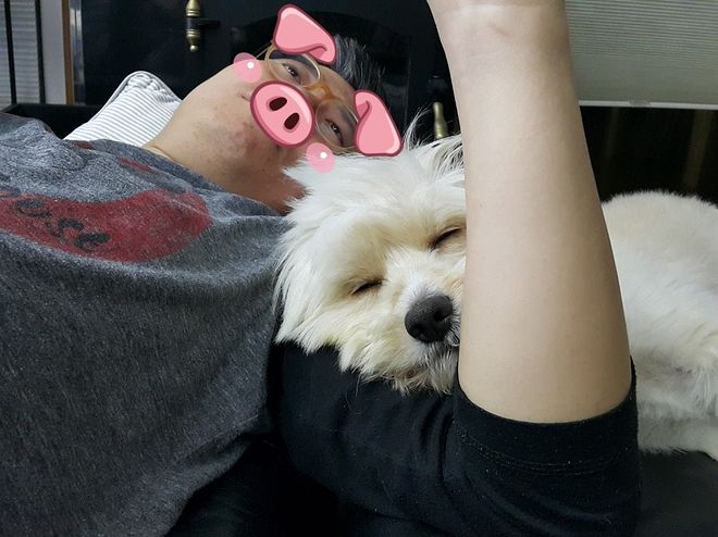 시골에는 밤에 개 줄 풀어 주는 집들이 좀 있습니다