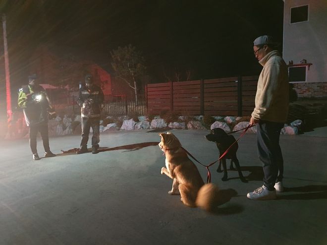 시골에는 밤에 개 줄 풀어 주는 집들이 좀 있습니다