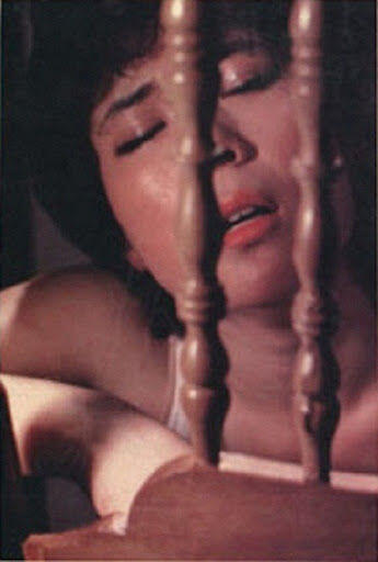 정윤희,이영하 - 진아의 벌레먹은 장미(1982년) - 유용원의 군사세계