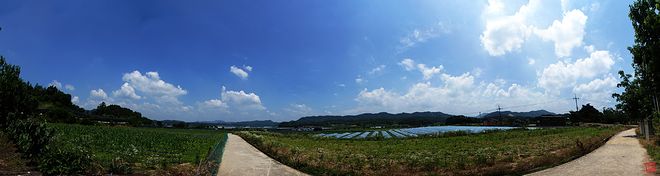 200621-01 충북 영동 양산.jpg