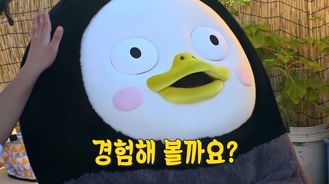 경험해 볼까요.png